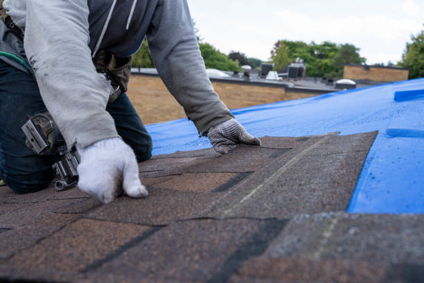 Best New Roof Installation  in Holland, MI