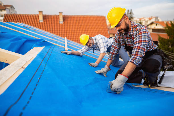 Best New Roof Installation  in Holland, MI