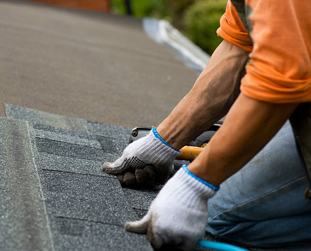 Best Storm Damage Roof Repair  in Holland, MI