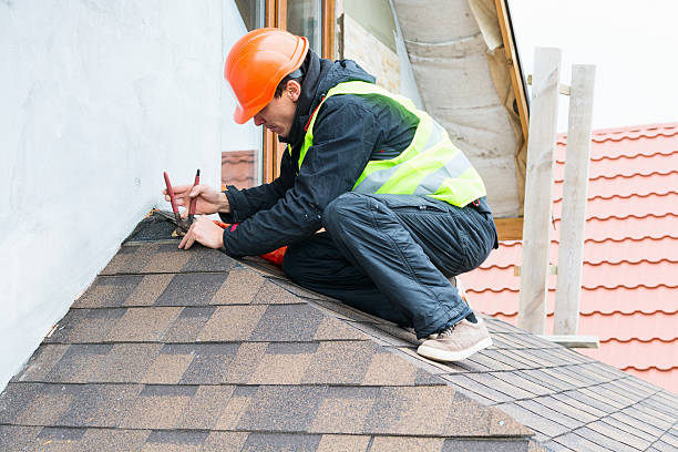 Best Roof Repair Services  in Holland, MI