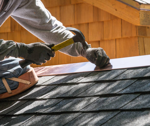 Best Residential Roofing Contractor  in Holland, MI